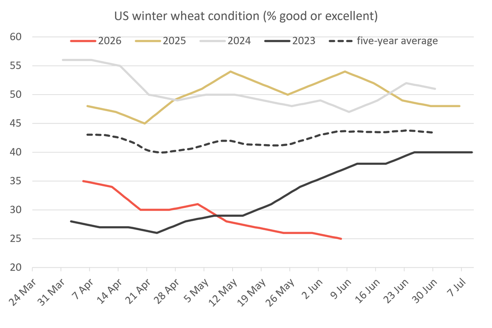 Fall in US wheat rating to record low lifts prices in Chicago and Europe