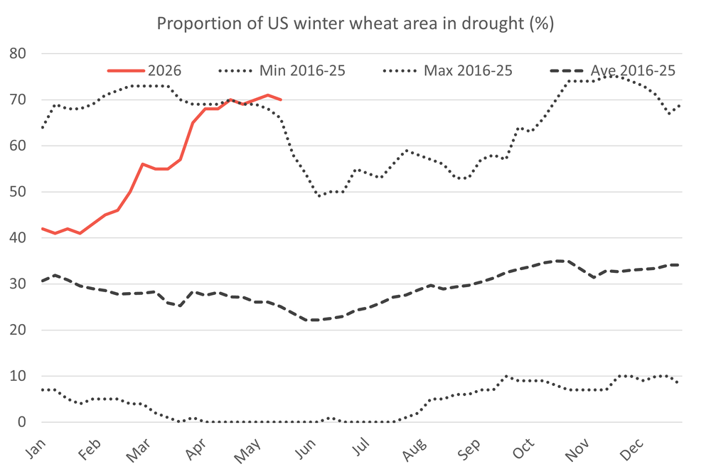 USwinterwheatindrought 26.05.26